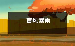 盲風暴雨
