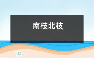 南枝北枝