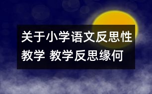 關(guān)于小學(xué)語文反思性教學(xué) 教學(xué)反思緣何起？