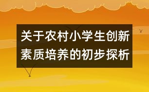 關于農村小學生創(chuàng)新素質培養(yǎng)的初步探析