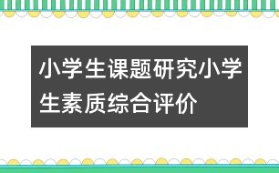 小學生課題研究：小學生素質(zhì)綜合評價