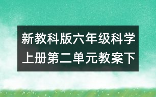 新教科版六年級科學上冊第二單元教案下