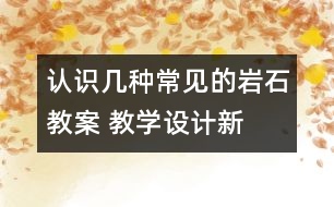 認(rèn)識幾種常見的巖石教案 教學(xué)設(shè)計—新教科版四年級下冊科學(xué)教案