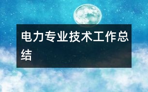 電力專業(yè)技術工作總結