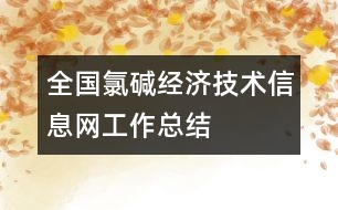 全國氯堿經濟技術信息網工作總結