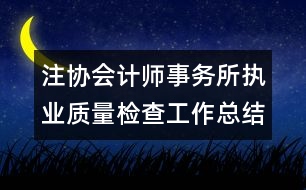 注協(xié)會計師事務所執(zhí)業(yè)質量檢查工作總結