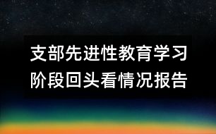 支部先進(jìn)性教育學(xué)習(xí)階段回頭看情況報告