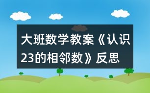 大班數(shù)學(xué)教案《認(rèn)識(shí)2、3的相鄰數(shù)》反思