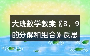 大班數(shù)學(xué)教案《8，9的分解和組合》反思