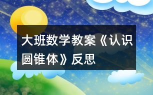 大班數學教案《認識圓錐體》反思