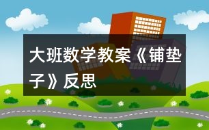 大班數(shù)學教案《鋪墊子》反思