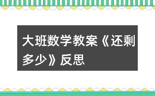 大班數(shù)學教案《還剩多少》反思