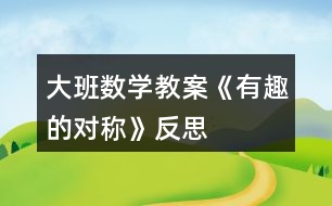 大班數學教案《有趣的對稱》反思