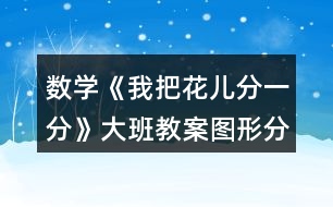 數(shù)學(xué)《我把花兒分一分》大班教案圖形分類(lèi)和二次分類(lèi)反思