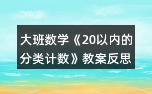 大班數(shù)學(xué)《20以內(nèi)的分類(lèi)計(jì)數(shù)》教案反思