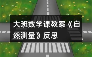 大班數(shù)學(xué)課教案《自然測量》反思