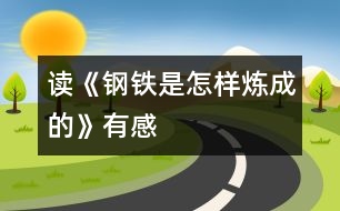 讀《鋼鐵是怎樣煉成的》有感