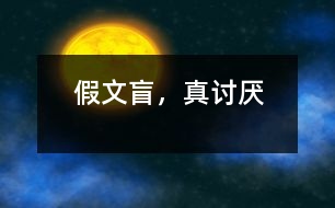 假文盲，真討厭