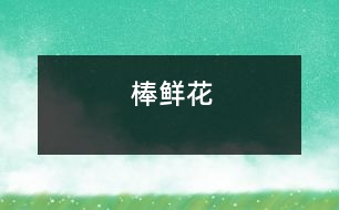 棒鮮花