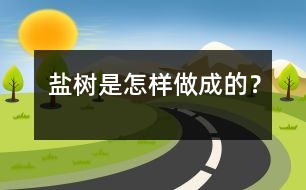 鹽樹是怎樣做成的？