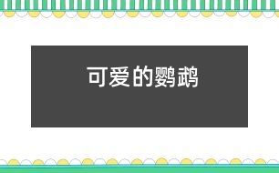 可愛(ài)的鸚鵡