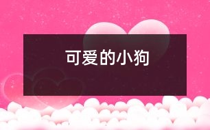 可愛(ài)的小狗