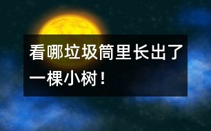 看哪垃圾筒里長出了一棵小樹！