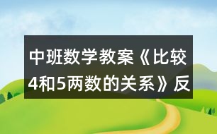 中班數(shù)學教案《比較4和5兩數(shù)的關系》反思