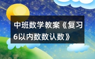 中班數(shù)學(xué)教案《復(fù)習(xí)6以內(nèi)數(shù)數(shù)、認(rèn)數(shù)》反思