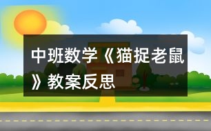 中班數(shù)學(xué)《貓捉老鼠》教案反思