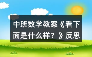 中班數(shù)學(xué)教案《看下面是什么樣？》反思