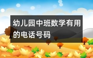 幼兒園中班數(shù)學(xué)：有用的電話(huà)號(hào)碼