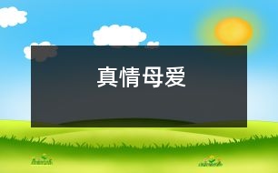 真情——母愛(ài)