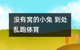 沒(méi)有窩的小兔 到處亂跑（體育）