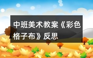 中班美術教案《彩色格子布》反思