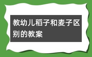 教幼兒稻子和麥子區(qū)別的教案