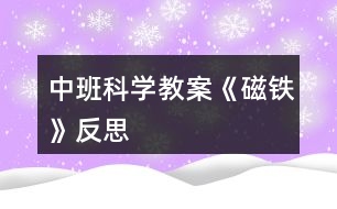 中班科學教案《磁鐵》反思