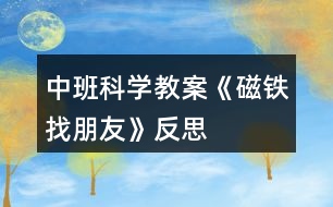 中班科學教案《磁鐵找朋友》反思