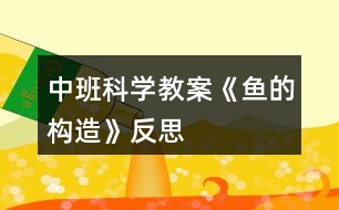 中班科學教案《魚的構(gòu)造》反思