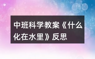 中班科學(xué)教案《什么化在水里》反思