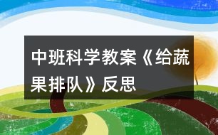 中班科學(xué)教案《給蔬果排隊(duì)》反思