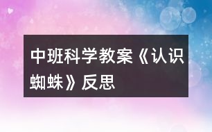 中班科學(xué)教案《認識蜘蛛》反思