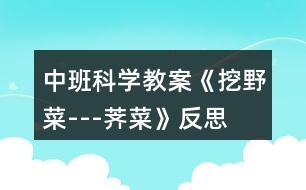 中班科學教案《挖野菜---薺菜》反思