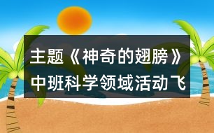 主題《神奇的翅膀》中班科學(xué)領(lǐng)域活動飛機(jī)反思