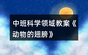 中班科學領域教案《動物的翅膀》