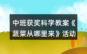 中班獲獎(jiǎng)科學(xué)教案《蔬菜從哪里來(lái)》活動(dòng)反思