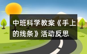 中班科學(xué)教案《手上的線(xiàn)條》活動(dòng)反思