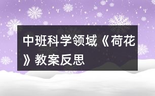 中班科學領(lǐng)域《荷花》教案反思