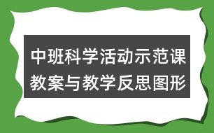 中班科學活動示范課教案與教學反思圖形的分類