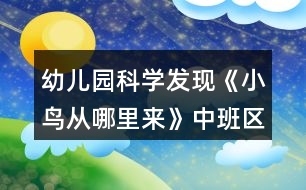 幼兒園科學(xué)發(fā)現(xiàn)《小鳥(niǎo)從哪里來(lái)》中班區(qū)域教案